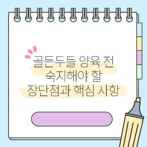 골든두들 양육 전 숙지해야 할 장단점과 핵심 사항