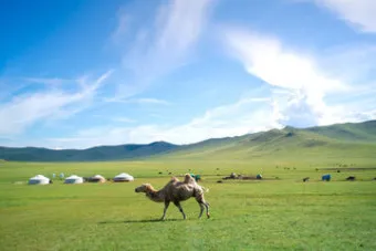 몽골 여행하기 좋은 계절 완벽 가이드 베스트 시기_1