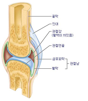 무릎에물이차는이유