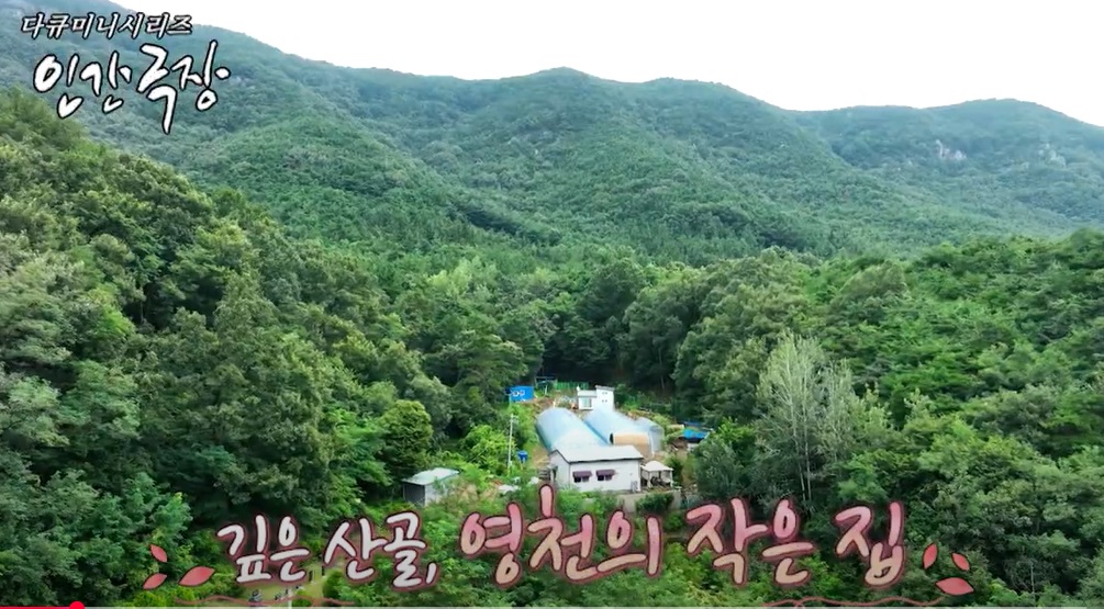 인간극장-데레사의꽃밭-영천-정데레사-꽃농장