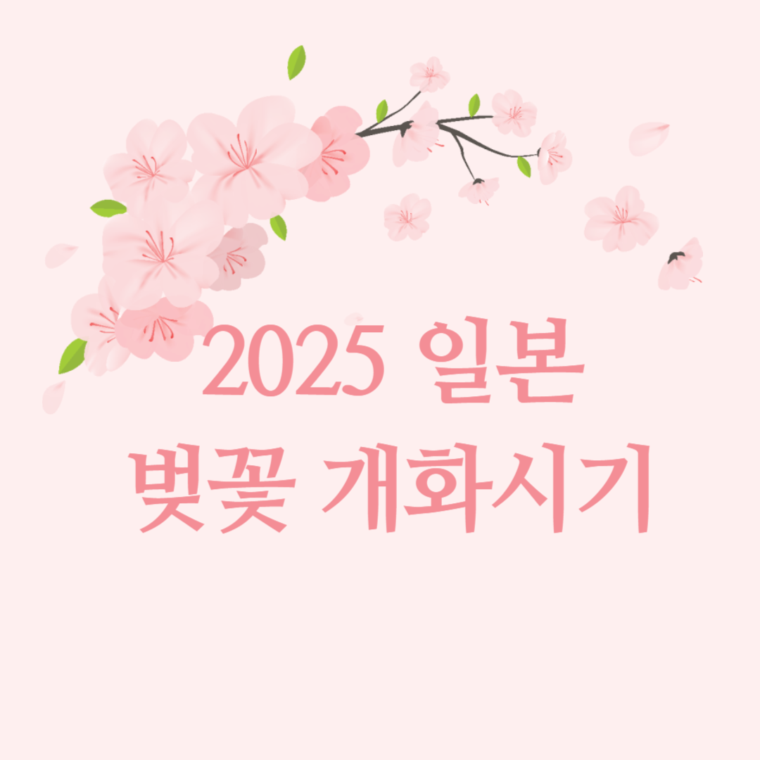 2025 일본 벚꽃 개화시기
