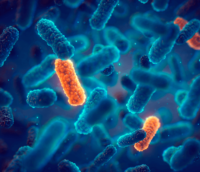 아이티켐 공모주