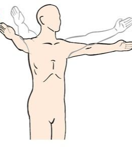 어깨 관절 가동 범위를 나타내는 모습