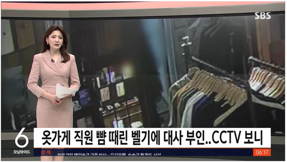 벨기에 대사 부인 폭행영상
