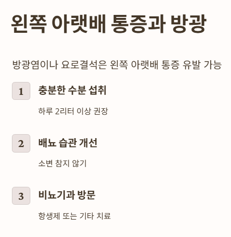 왼쪽 아랫배 통증과 방광