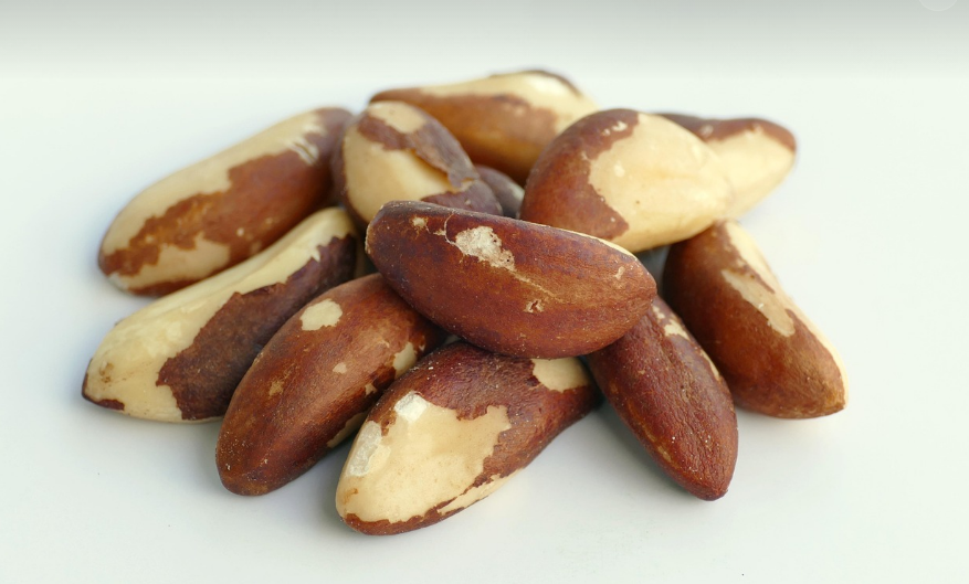 셀레늄-브라질너트