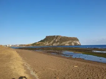 성산포항 여객터미널 우도 배시간표 배편 예약 요금_3