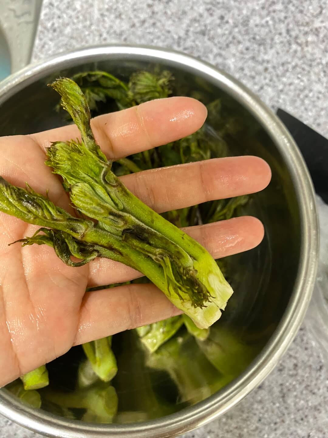 손질한 두릅