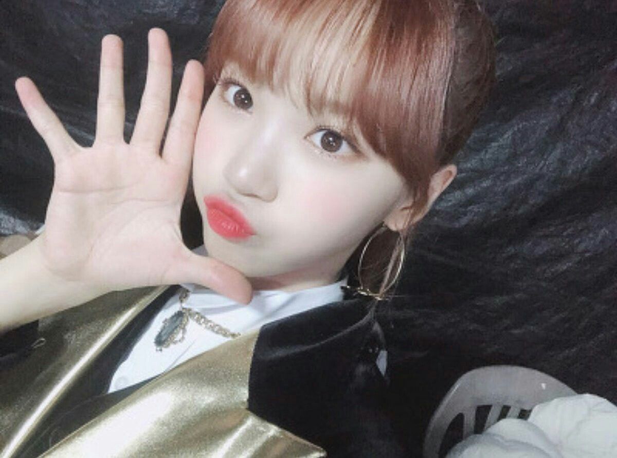 김채원 사진 모음