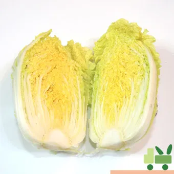 알배기 배추 물김치 담그는 법 및 보관 방법 총정리_3