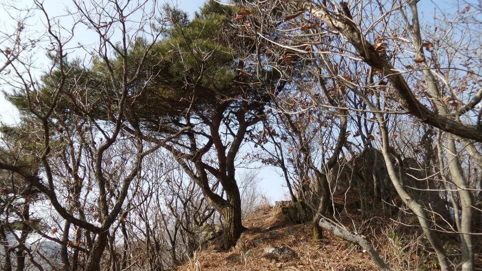 100대 명산 등산하기 열한번째 고창 방장산 서해안과 고창 평야를 한눈에 바라볼 수 있는 탁 트인 조망을 갖추고 있는 산