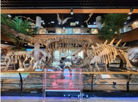 태안 추천 관광지 베스트10 관련 사진