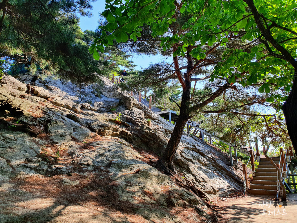 광교산 정상
