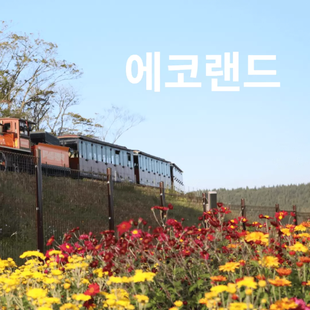 에코랜드