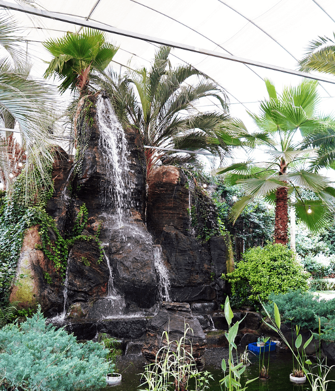 익산 왕궁 포레스트 ❘ 숲속 힐링과 가족여행이 공존하는 자연명소 가볼까요?