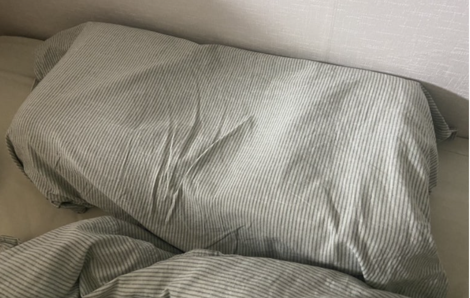 젠틀리머 경추 베개 사용자 내돈내산 후기