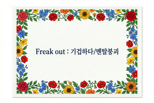 Freak out 기겁하다