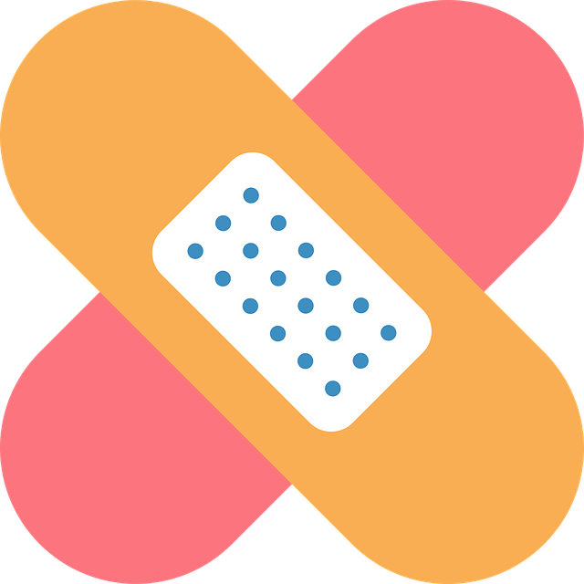 자격득실 확인서 발급 오류