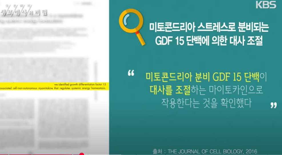 나이가 숫자에 불과한 사람들💪 노화를 좌우하는 열쇠 미토콘드리아의 활성도를 높여라! ❘ 몸이 젊어지는 기술, 안티에이징 ❘ KBS 170503