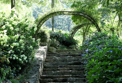 경상권 수국명소 추천 7곳, 여름의 정취를 만끽할 수 있는 곳