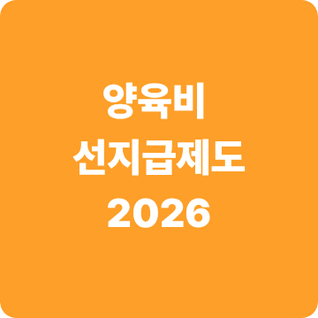 양육비선지급제도