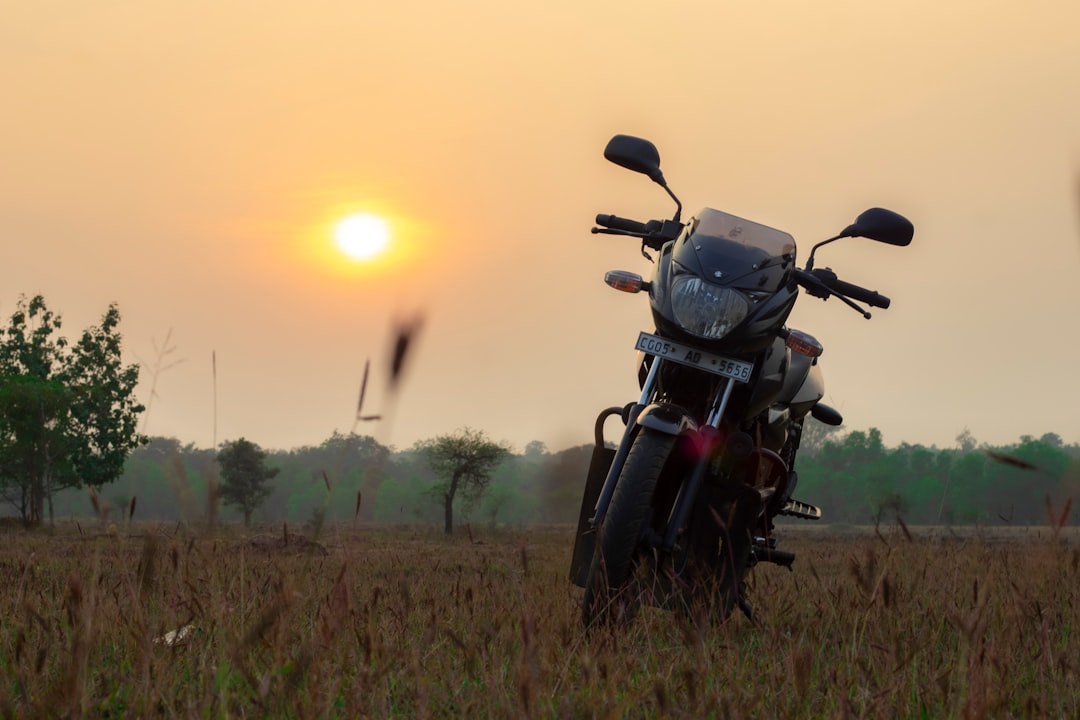 Pulsar
