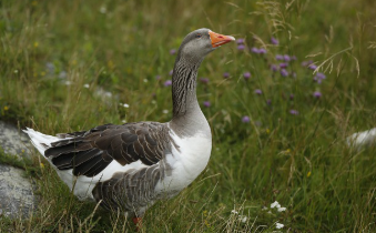 디즈니런 서울 2025 놓치면 후회하는 정보 15
