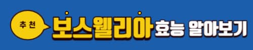콘드로이친 보스웰리아 차이점