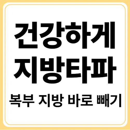 내장지방 빼는 식이요법! 건강하게 지방 태우는 식단 구성