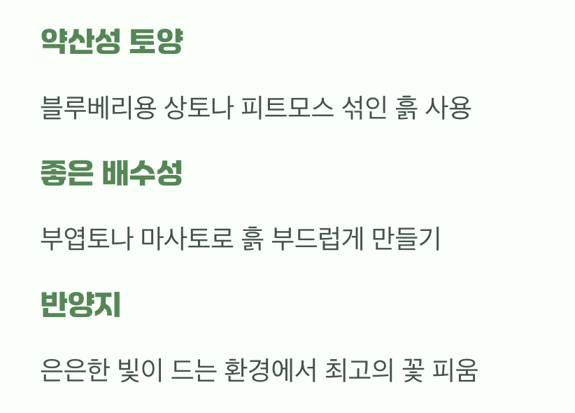 여왕님을 위한 집의 조건 (흙과 햇빛)
