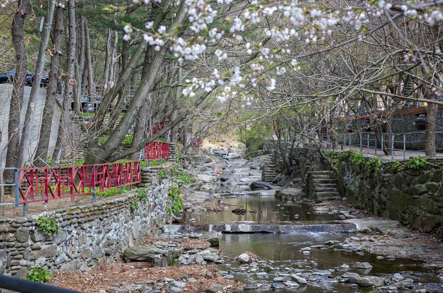포천 프로방스 수목원(2)