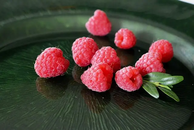 raspberry-2539574_640
