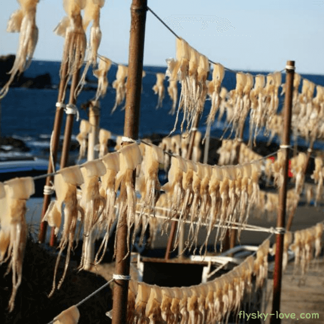 타우린이 풍부한 마른오징어