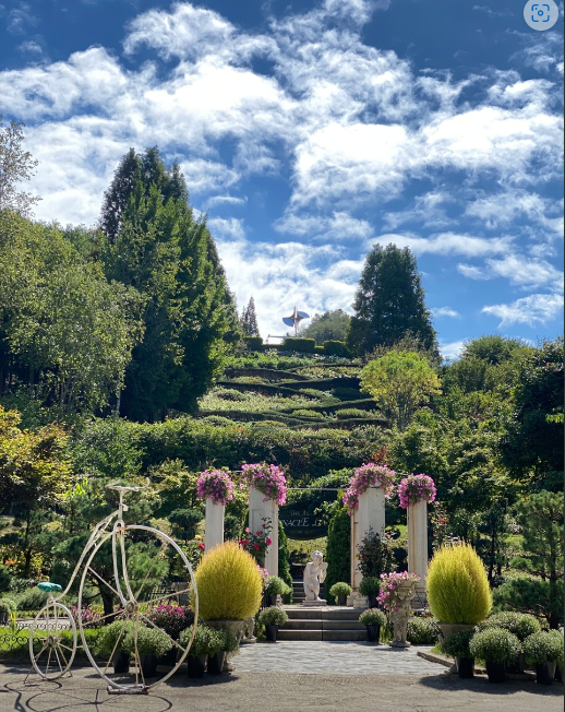 피나클랜드 봄꽃 축제 사진2