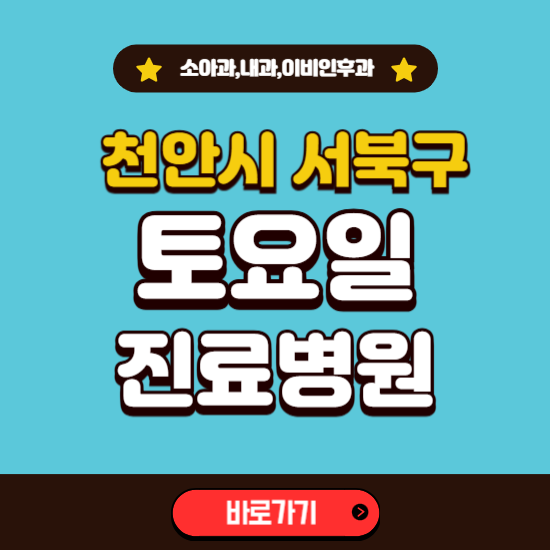 천안시 서북구 토요일 진료 병원 찾기 ❘ 주말 문여는 소아과, 내과, 이비인후과 리스트