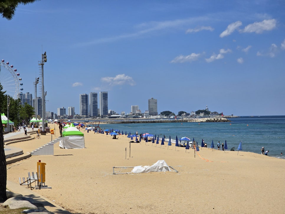 국내 해수욕장 개장일