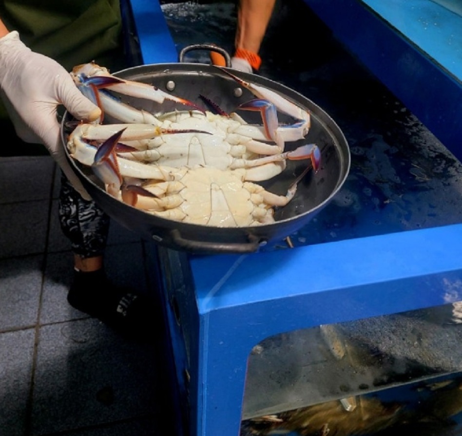 전현무계획-꽃게탕-성안정꽃게전문