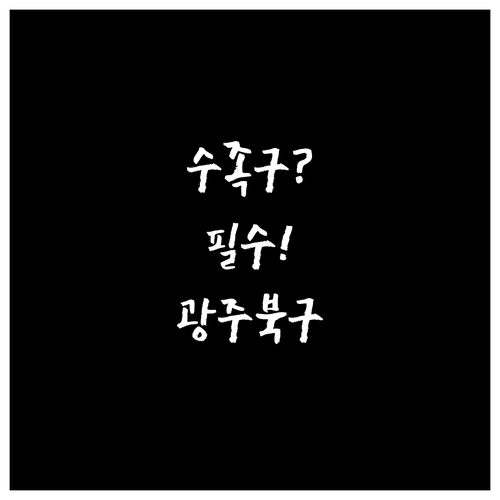 광주 북구 수족구 병원 추천 및 증상..
