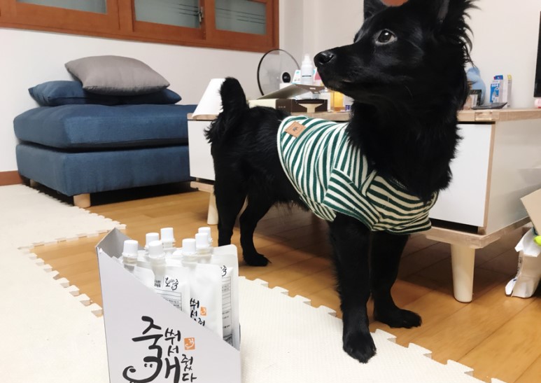 강아지간식 죽쒀서개줬다