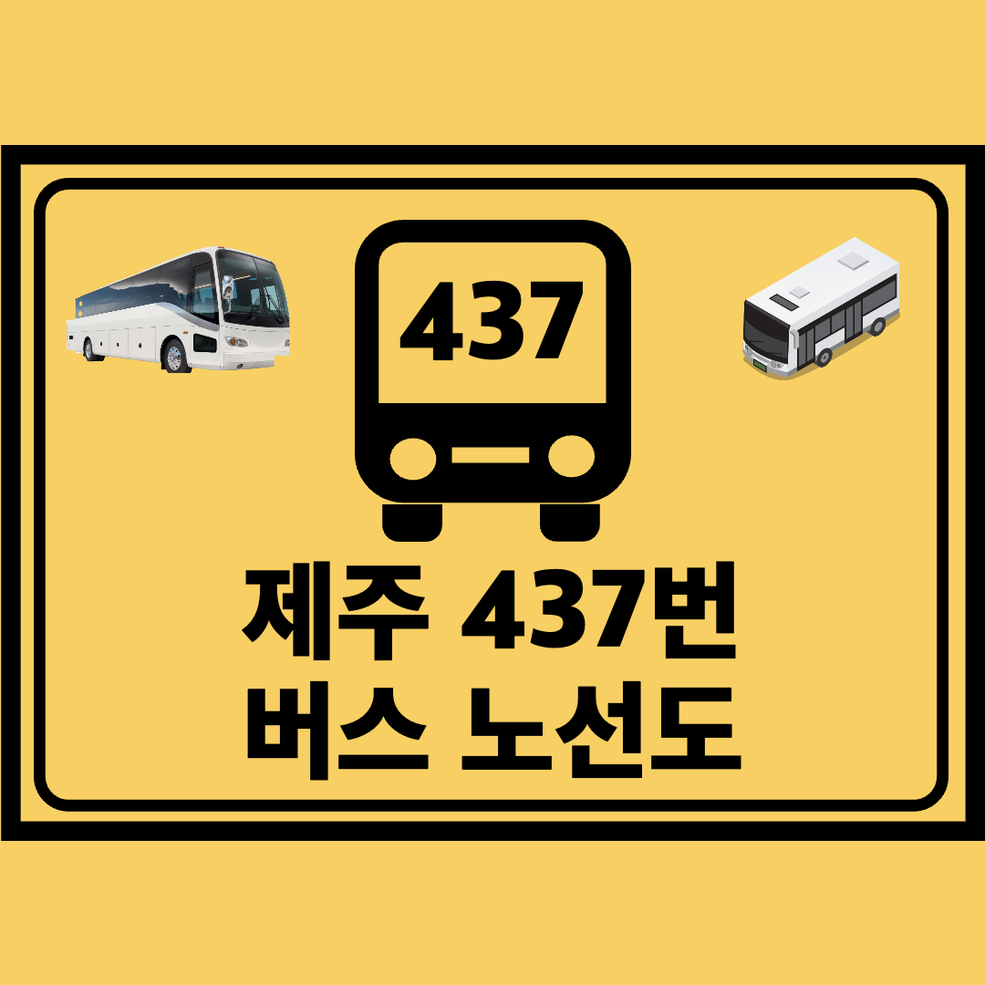제주_437번_지선버스_노선도