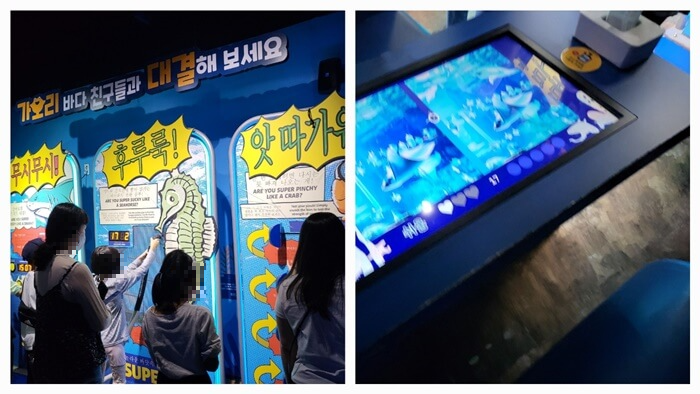 부산 아쿠아리움&#44; 다양한 체험물