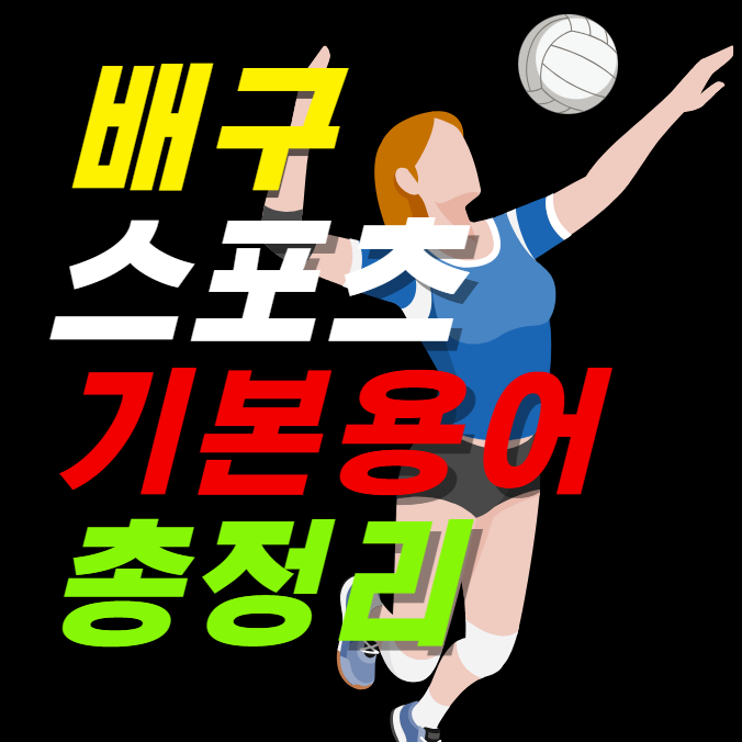 배구 주요 스포츠 용어 정리