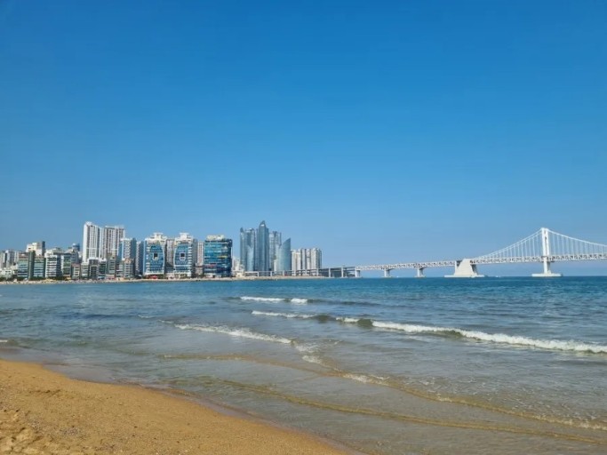 대체텍스트
