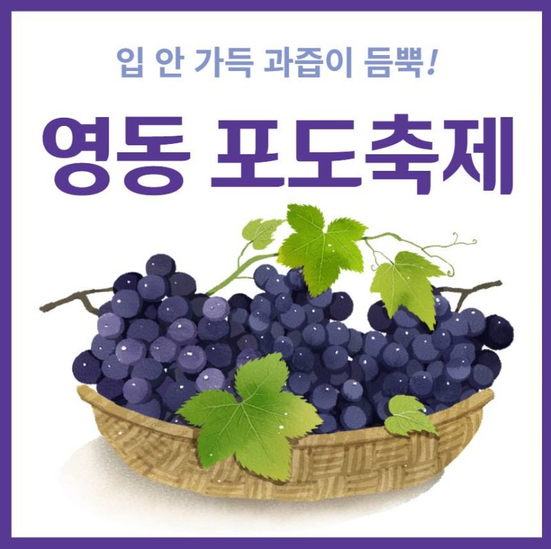영동포도축제 기본정보
