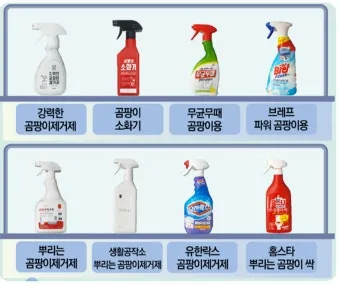 곰팡이 제거 락스 과탄산소다 환기 습기 원인 총정리_32