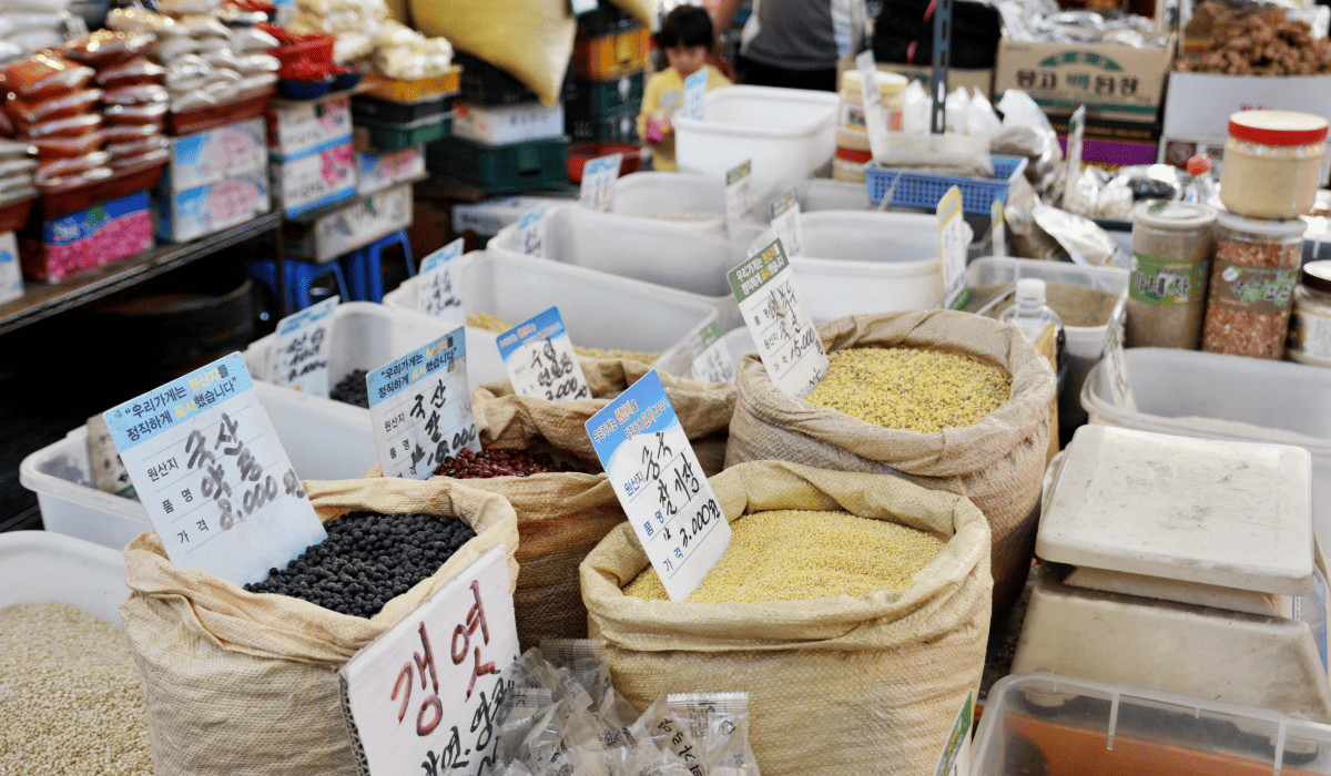 민생회복지원금_25만원_신청방법_5