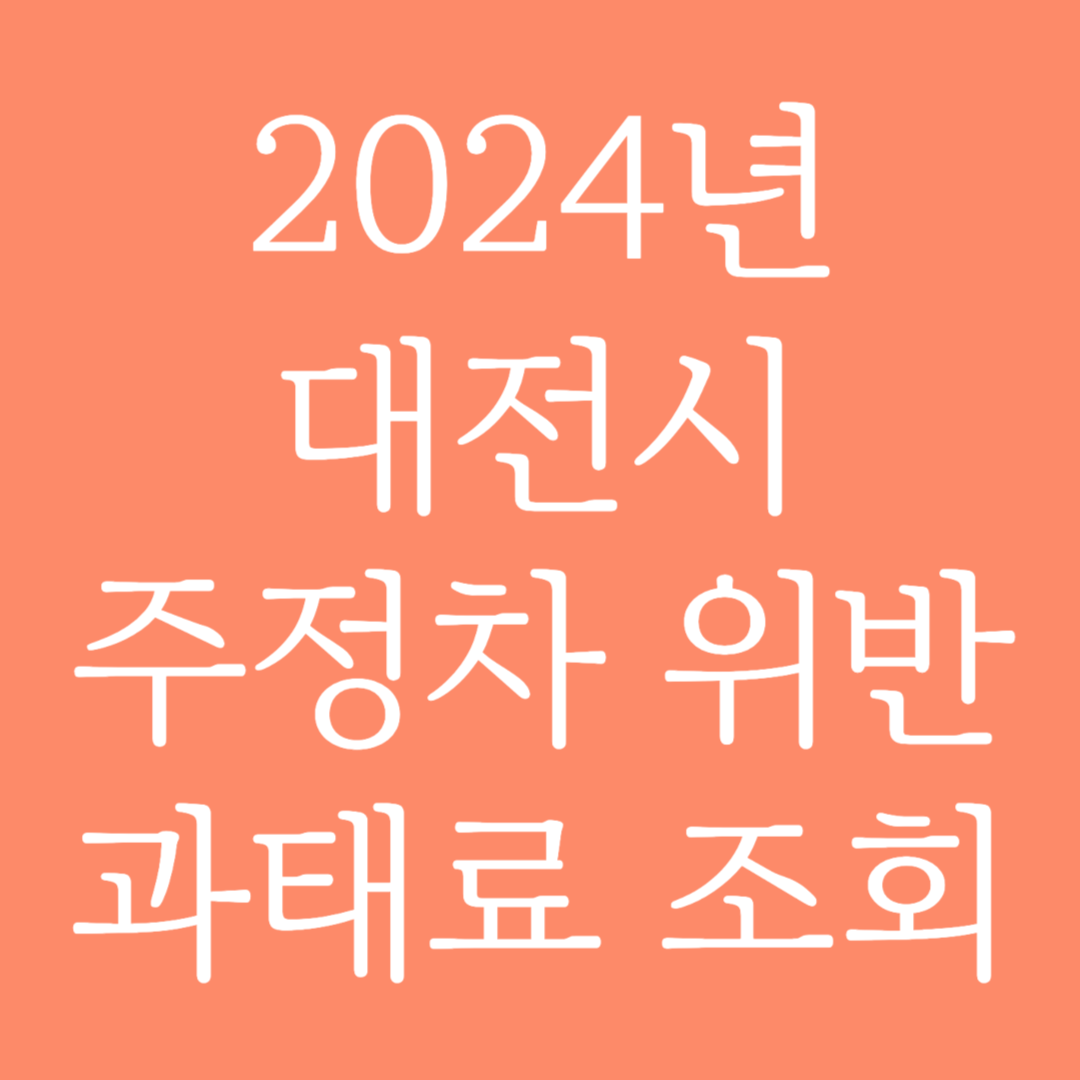 2024년 대전시 주정차 위반 과태료 조회하기