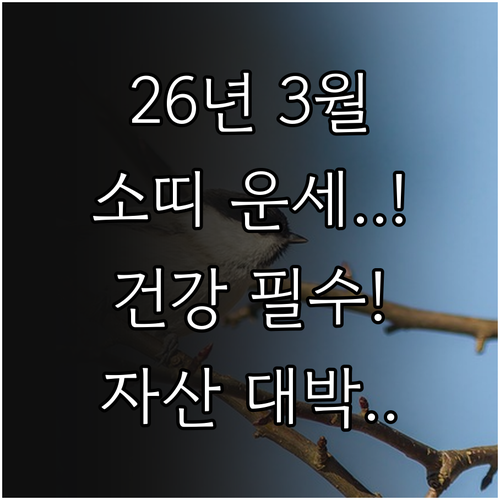 2026년 3월 소띠 어르신 운세 정..