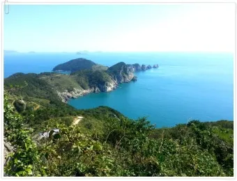 통영 연화도 수국 꽃길 산책 코스와 최적 관람 시기_12