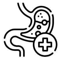 소화 기능 개선 사진